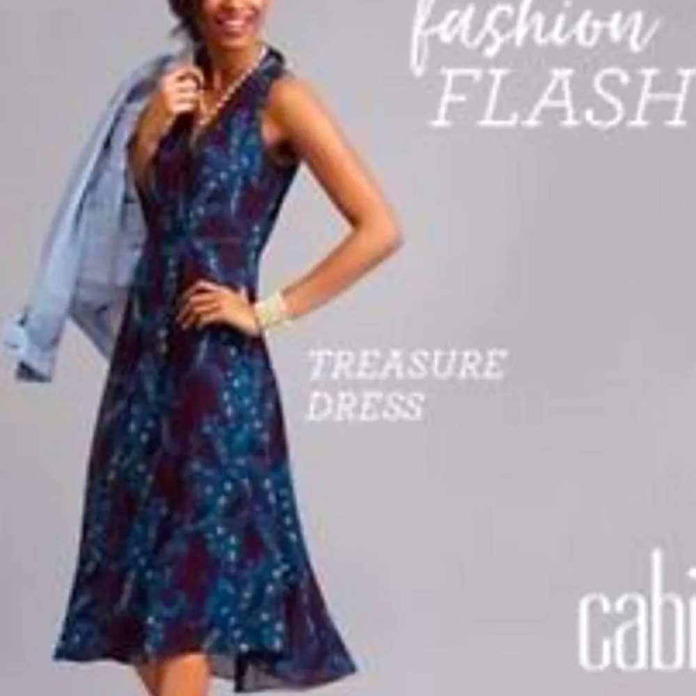 CAbi Treasure Dress Paisley Floral Dress #3461 Size 6